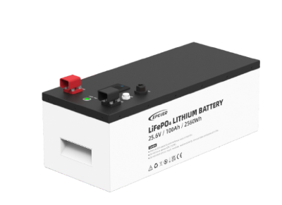 Bateria de Litio LFP de 25.6V, 100AH y 2.56kWh, 5,000 Ciclos de descarga, compatible con inversor IP2000-21